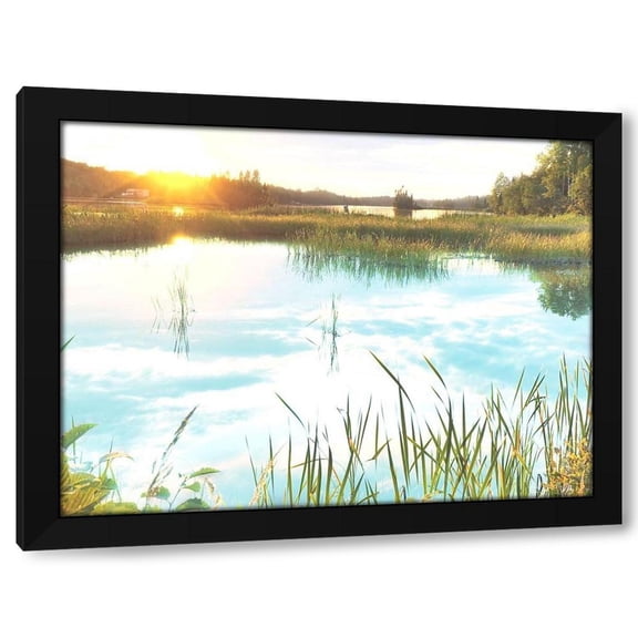 Marcus Prime 14x12 Black Modern Wood Framed Wall Art Titled - Sunny Marsh