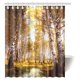 thumbnail image 1 of Cortina de Ducha ABPHQTO diseño de árbol de Abedul Bosque de Abedules de Otoño 150x180 cm, 1 of 3