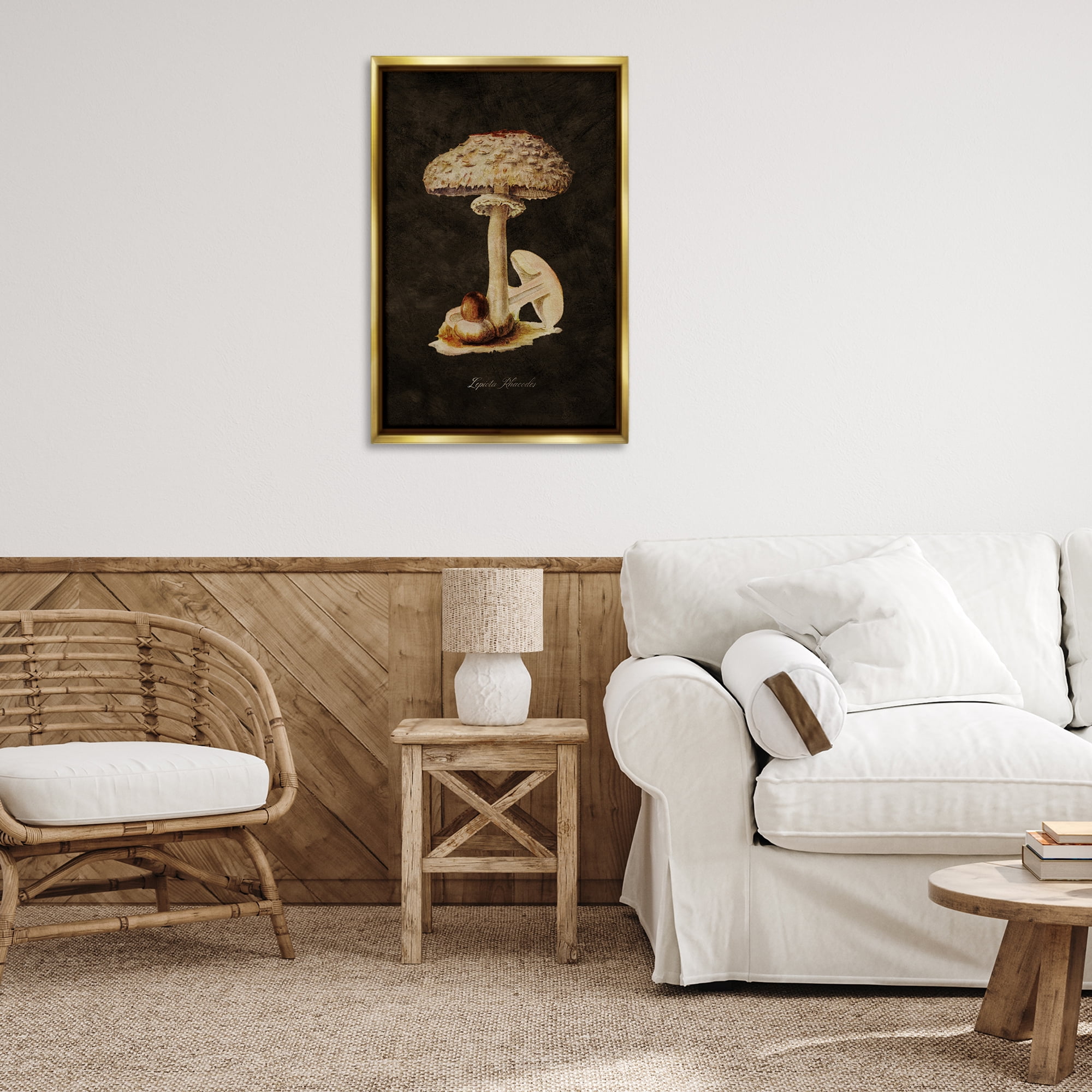 Stupell Industries Vintage Mushroom Study Plants & Flowers Painting Gold Floater Framed Canvas Art Print Wall Art, 21 x 31