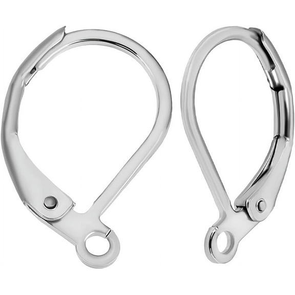 1 Box 50Pcs 316L Surgical Stainless Steel Lever Back Earring Clasps Leverback French Earring Hooks for Making Dangles Earrings Findings 1set
