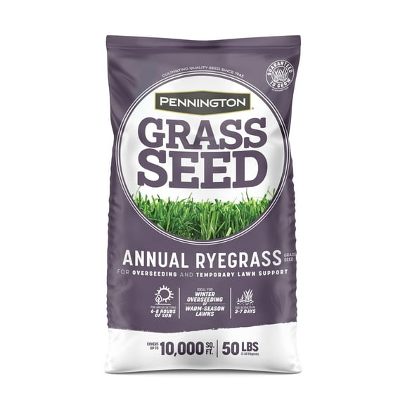 Pennington Annual Ryegrass Grass Seed, for Sun to Partial Shade, 50 lb.