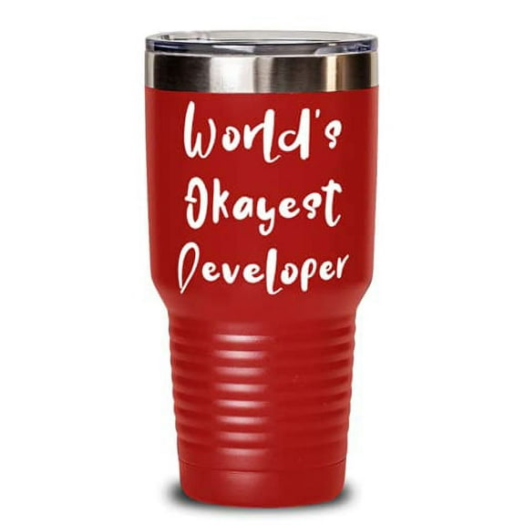 World's Okayest Developer Developer 30oz Tumbler, Inappropriate Developer, Insulated Tumbler For Colleagues