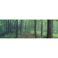 thumbnail image 1 of Chestnut Ridge Park  Orchard Park  New York State  USA Poster Print by  - 36 x 12, 1 of 1