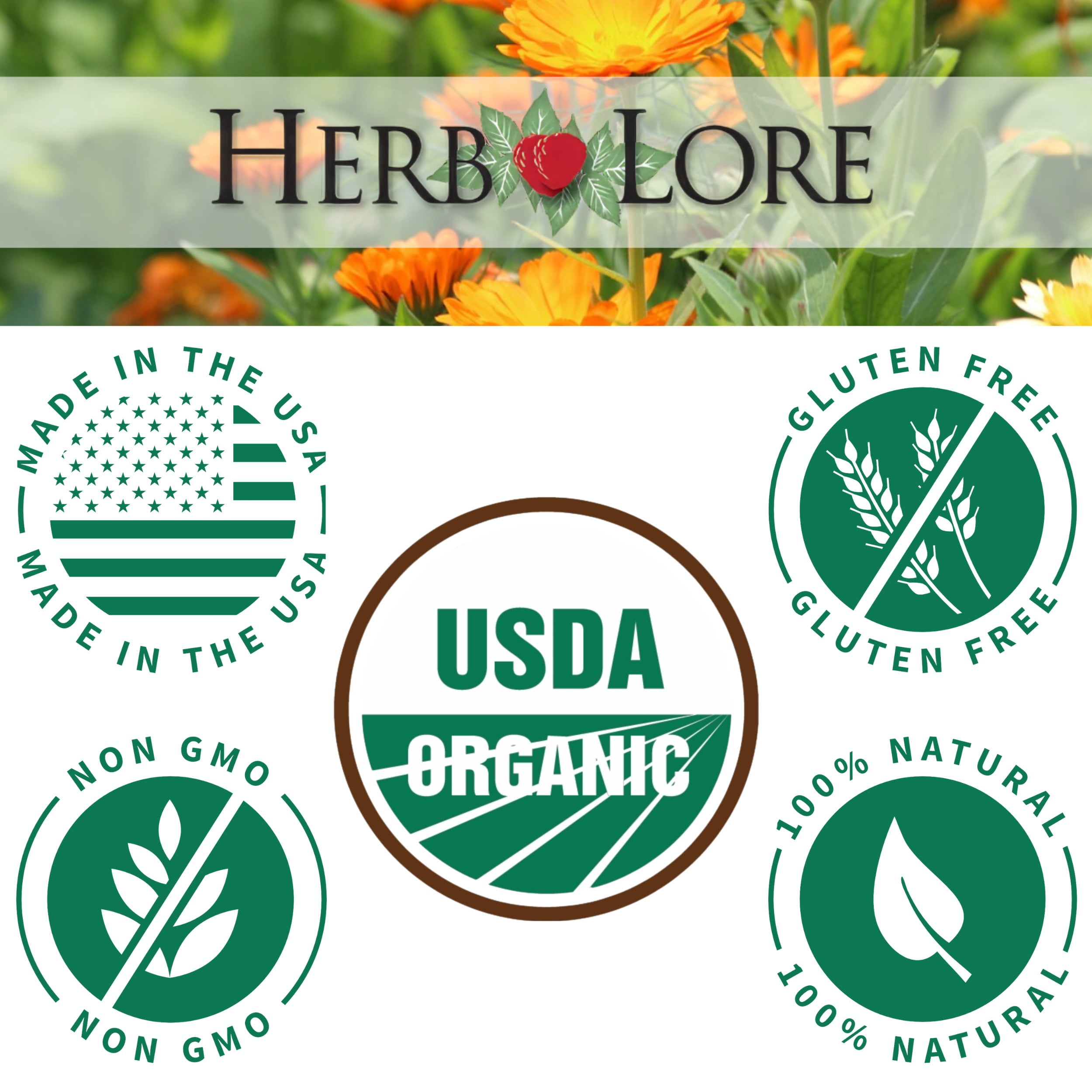 Herb Lore Organic Fennel Tincture – Digestive Support & Lactation Aid (2 fl oz)