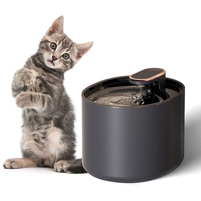 Fuente de agua, bebedero negro automático de gran capacidad de 3L, filtro de bomba ultrasilencioso, dispensador de agua para mascotas oso de fresa Electrónica