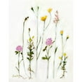 thumbnail image 3 of Bragg, Janel 20x24 Black Modern Framed Museum Art Print Titled - Chamomile-Clover and Dandelion, 3 of 5
