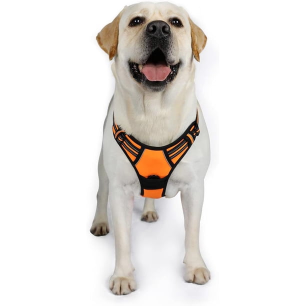 Rabbitgoo Arnés para Mascotas sin Tirones con 2 Clips para Correa, Acolchado Suave Ajustable, Chaleco Oxford Reflectante para Mascotas sin asfixia con asa de fácil Control para Perros Grandes, Rosa, L