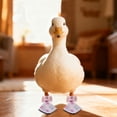 thumbnail image 6 of Duck Shoes for Call Ducks, Poultry Boots for Paw Protection, Anti-Slip and Anti-Filth Outdoor Protective Footwear for Pet Ducks, Washable and Reusable, 6 of 6