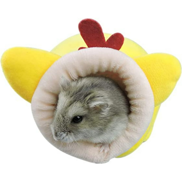 Dwarf Hamster Moving Bedding edu.svet.gob.gt