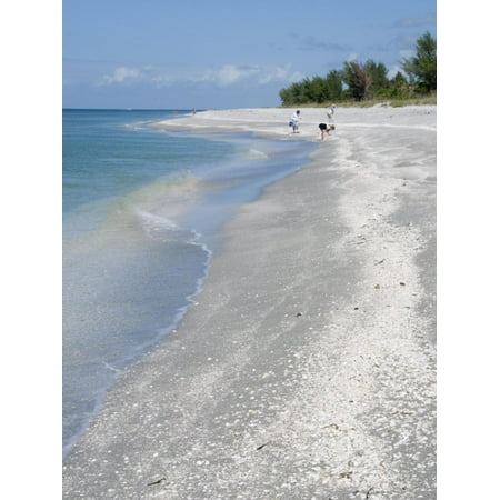 Beach Covered in Shells, Captiva Island, Gulf Coast, Florida, United States of America Print Wall Art By Robert