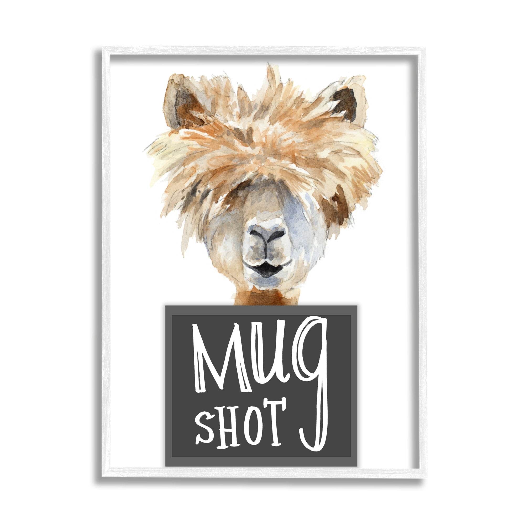 Stupell Industries Fluffy Hair Alpaca Animal Mugshot Funny Portrait, 11 x 14, Design by Lanie Loreth