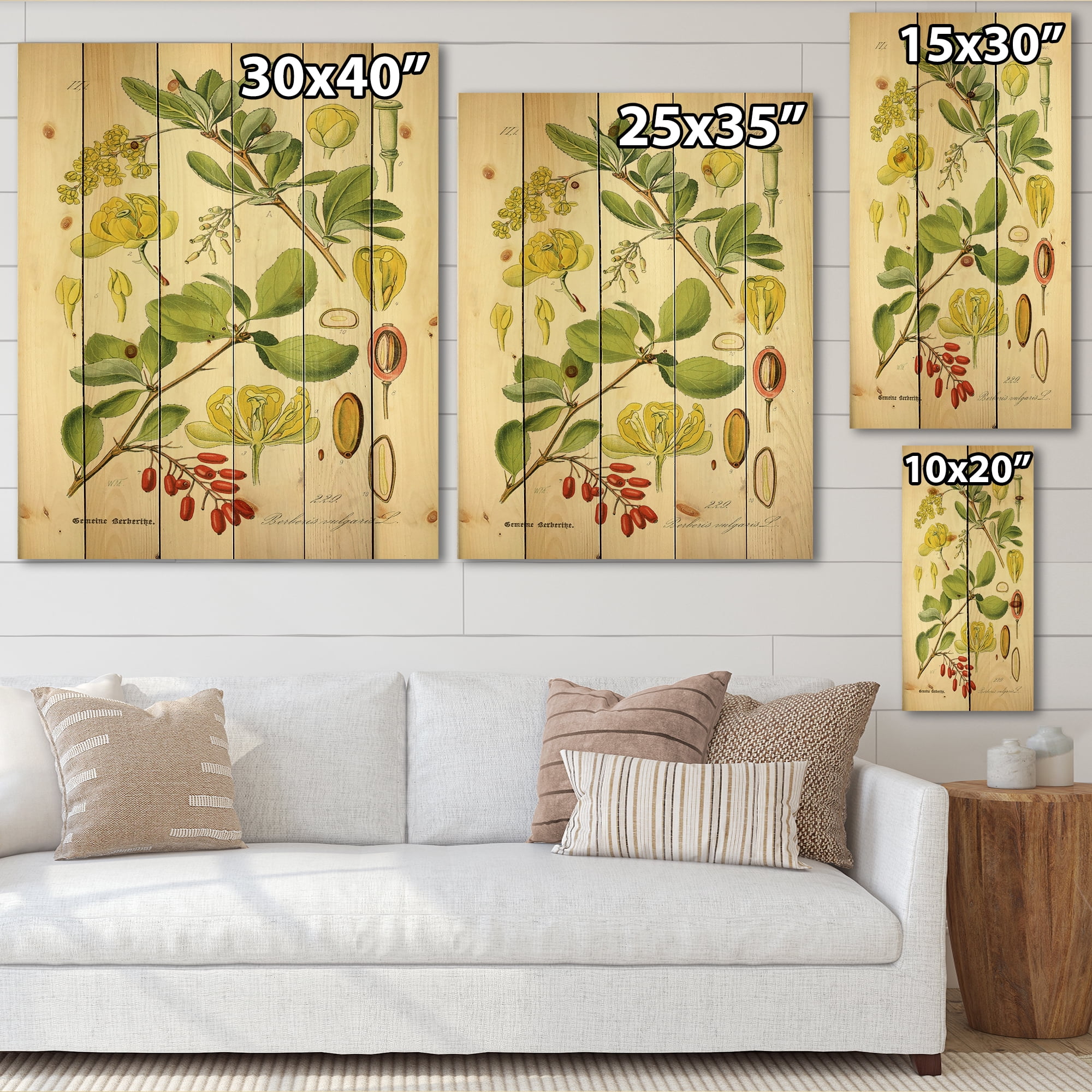Designart 'Ancient Plant Life II' Traditional Print on Natural Pine Wood