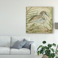 thumbnail image 3 of Trademark Fine Art 'Heron And Ferns II' Canvas Art by Vision Studio, 3 of 4