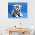 thumbnail image 2 of ONETECH Wall Art Canvas Paintings Decorative Kitten scottish fold breed on blue Framed Artwork for Bedroom Living Room Posters Kitchen Dining Room Home Office can be Hung, 2 of 4
