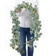 thumbnail image 5 of 1 guirnalda de eucalipto artificial con enredaderas de sauce, guirnalda de eucalipto artificial de 6.5 pies de largo, hojas de eucalipto de dólar de plata, guirnalda de vegetación falsa, telón de fondo de boda, decoración de pared de arco brillar Electrónica, 5 of 6