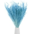 thumbnail image 1 of Ramo de flores secas Uxcell 17" Manojo de flor seca de limonium [Azul cielo, 120g], 1 of 1