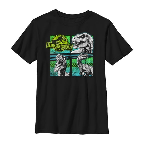 Boy's Jurassic World T. Rex and Velociraptors  Graphic Tee Black X Large
