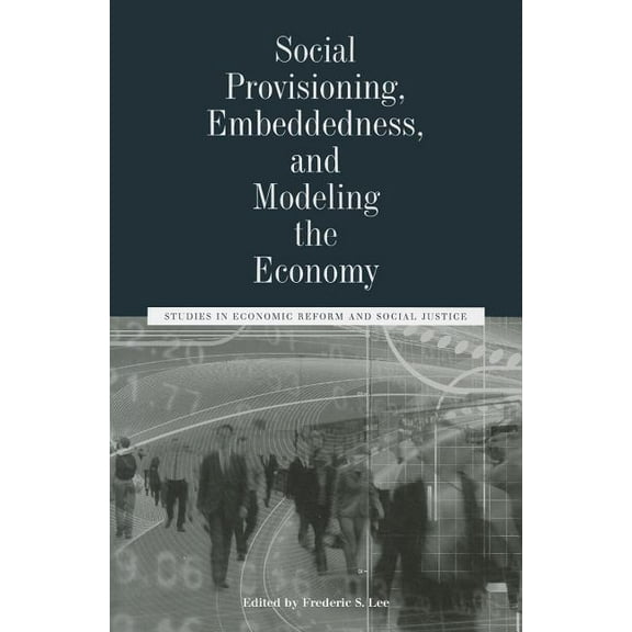Ajes - Studies in Economic Reform and Social Justice: Social Provisioning, Embeddedness, and Modeling the Economy: Studies in Economic Reform and Social Justice (Paperback)