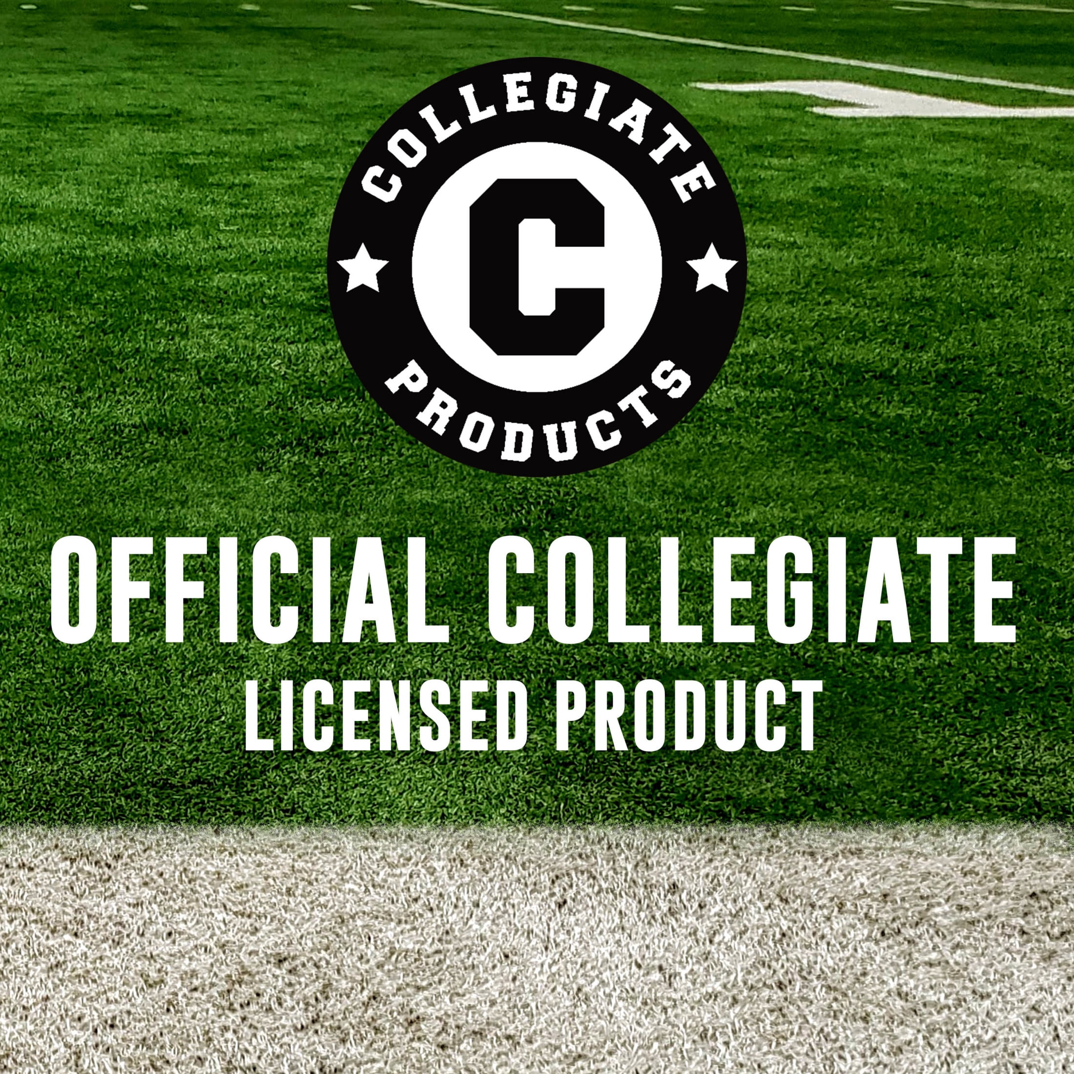 Franklin Sports South Carolina Gamecocks Kids NCAA Youth Football - Official College Team Junior Footballs with Team Logos for Kids - Kids Junior Size PVC Football - Backyard + Tailgate Ball - 8.5"