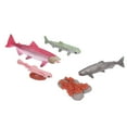 thumbnail image 3 of Growth Cycle Model  Material Safe Odorless Vivid Real Salmon Animal Life Cycle Model for Above 3 Years Old, 3 of 7