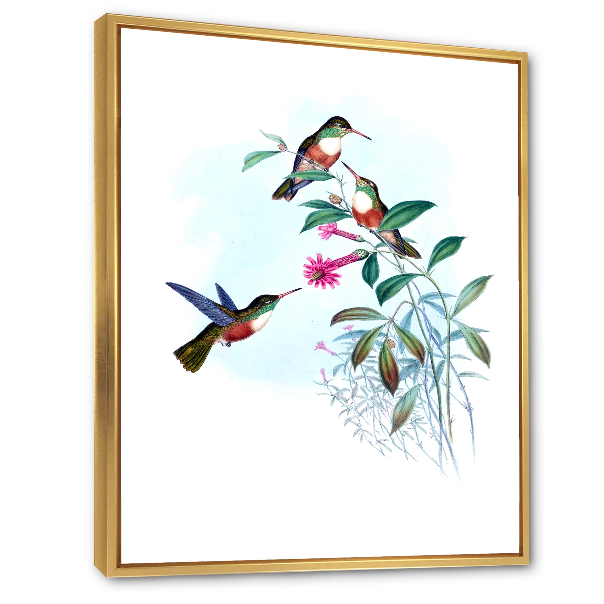 Designart 'Ancient Hummingbird IV' Traditional Framed Canvas Wall Art Print