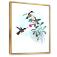 thumbnail image 3 of Designart 'Ancient Hummingbird IV' Traditional Framed Canvas Wall Art Print, 3 of 5