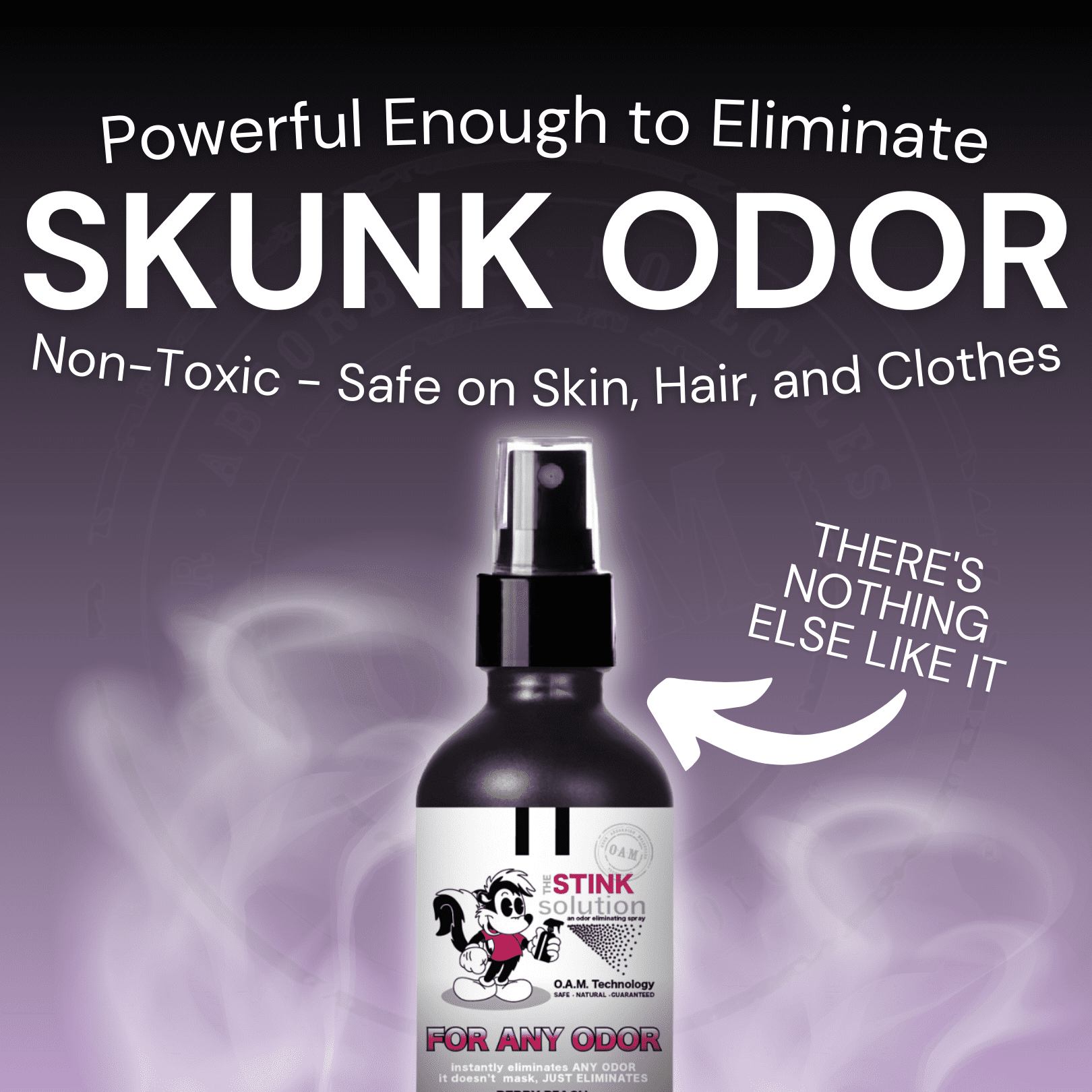 The Stink Solution Unscented Odor Eliminator Spray, 16 oz, 2 Count