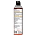 thumbnail image 2 of Hot Shot Spider & Scorpion Killer Aerosol Spray, 16 Ounces, 2 of 5