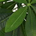 thumbnail image 6 of vidaXL Artificial Tree with Pot Artificial Plant Fake Fortune Tree 33.5" Green, 6 of 7
