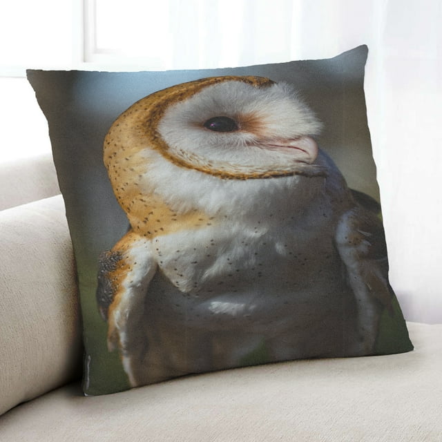 Ahgly Company Coussin d'Intérieur Animaux Hibou, 18 Pouces par 18 Pouces