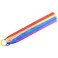 thumbnail image 2 of EeaseCA Creative Rhythmic Gymnastics Ribbon Portable Dancing Ribbon Party Ribbon, 2 of 8