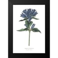 thumbnail image 2 of Wild Apple Portfolio 17x24 Black Modern Framed Museum Art Print Titled - Campanula Bright, 2 of 5