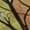 Gold, variant on Addison Rugs Mayfield Premium Machine Washable Transitional Botanical Purple Rectangle Rug, 10' x 14'