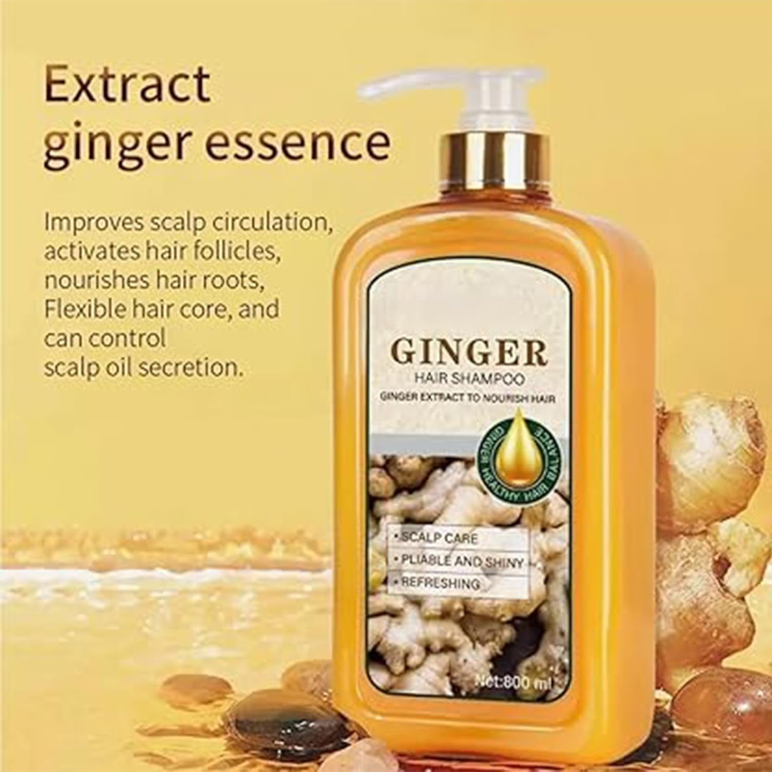ABBASI & CO Anti-Hair Loss Shampoo & Conditioner Set - Ginger Plant Extract Instant Hair Growth Shampoo - Anti-Dandruff Care Formula - Oil Control & Hair Loss Treatments For women & Men - 2x 800 ML