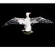 thumbnail image 4 of Plástico Realista Zulema Modelo de Pájaro Silvestre Selva bosque Juguete de figura animal, 4 of 8