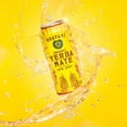 thumbnail image 5 of Guayaki Yerba Mate, Clean Energy Drink Alternative, Organic Revel Berry, 15.5oz (Pack of 12), 150mg Caffeine, 5 of 7