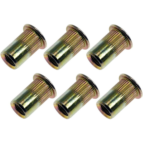 Dorman 963-250BX Rivet Nut - 1/4-20 (Pack of 20)