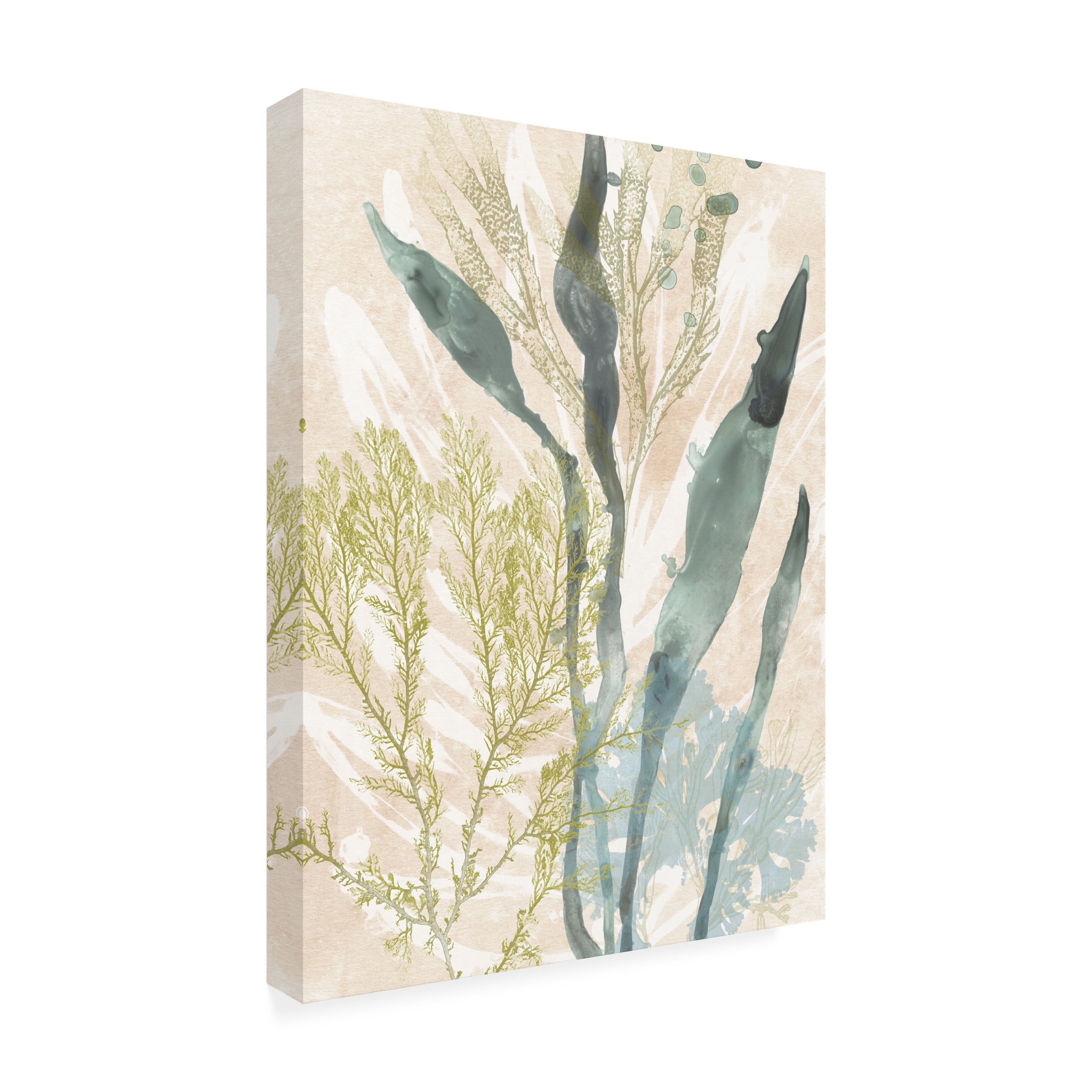 June Erica Vess 'Vintage Ocean Jewels I' Canvas Art