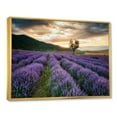 thumbnail image 3 of Designart 'Dramatic Clouds and Sunrise Over Lavender Field VII' Farmhouse Framed Canvas Wall Art Print, 3 of 5