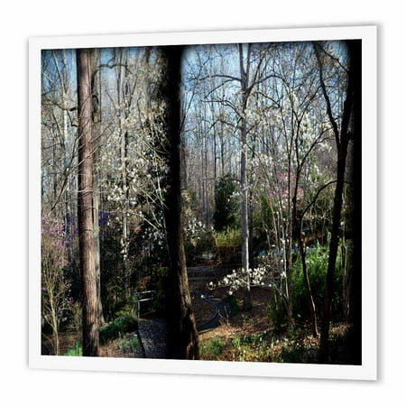 Indoor Transfer Panel - 3dRose Panel of Flowering Tree are a couple different photo combined together, Iron On Heat Transfer, 8 by 8-inch, For White Material