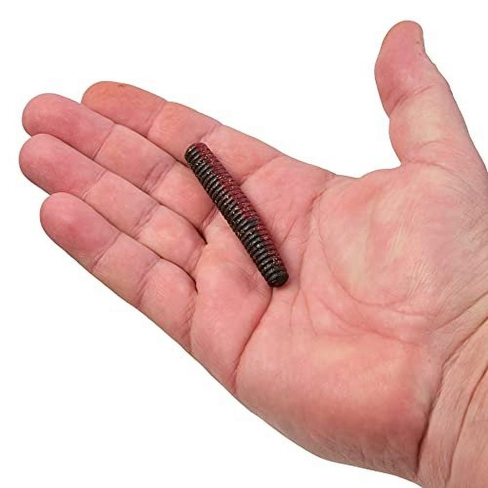 Berkley PowerBait® MaxScent Lil' General Fishing Soft Bait 2 3/4in | 6.9cm Hot Craw