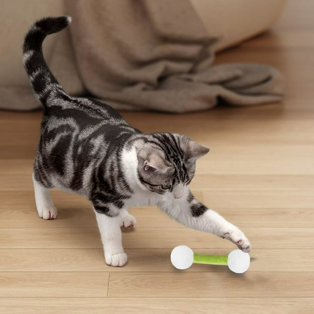 Interactive Cat Toy Set with Soft Teething Chew Sticks for Indoor and Exercise