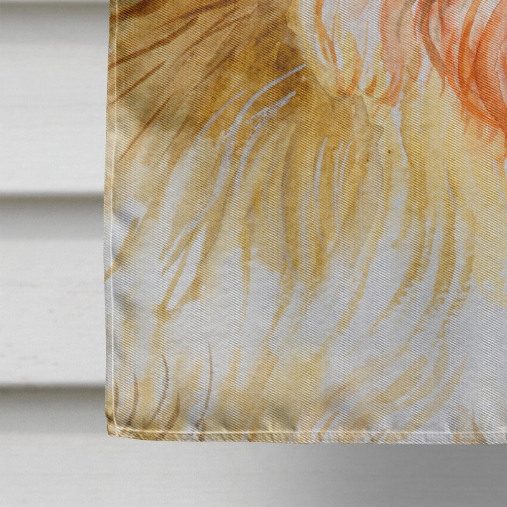 Caroline's Treasures CK3795CHF Morkie #3 Welcome Flag Canvas