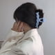 thumbnail image 2 of Garras para el cabello ZHAOCHENG Clip de baño dulce Clip de tiburón Tamaño grande azul, 2 of 4