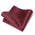 thumbnail image 1 of Nvzi-c Mens Silk Pocket Square Set Handkerchiefs-9*9inch，A23, 1 of 4