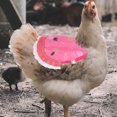 thumbnail image 3 of Chicken Saddle Hen Saddle Hens Saddle for Hen Apron Chicken Saddle Apron, 3 of 8
