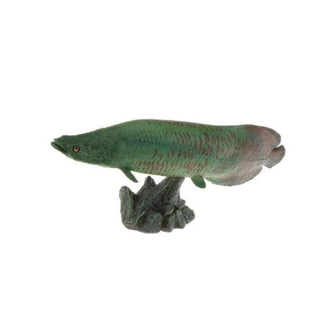kurtrusly Realistic Static Ocean Animal Model Toy Kids Gift Pirarucu with Base