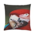 thumbnail image 2 of Ahgly Company Animals Parrot Indoor Throw Pillow, 18 inch by 18 inch, 2 of 6