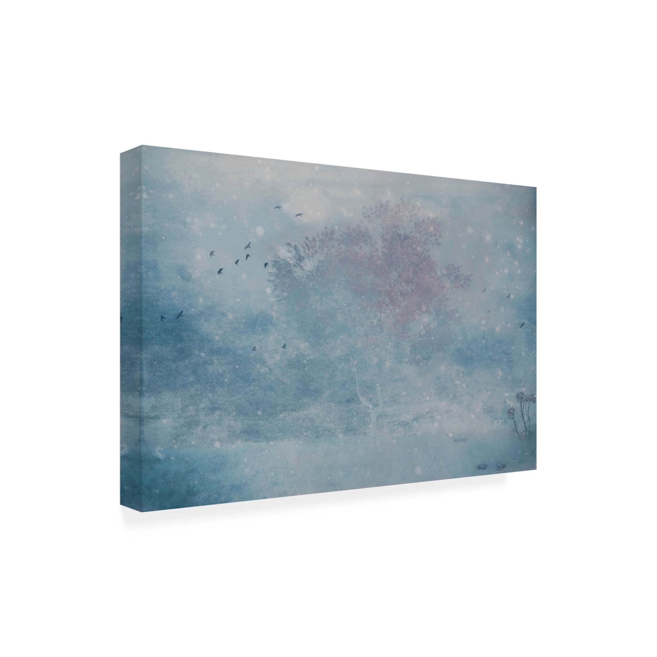 Canvas Wall Art - Delphine Devos 'The Winters Spring' Wall Art for Living Room, Bedroom, or Office Décor by Trademark Fine Art - 19 x 12 Inches