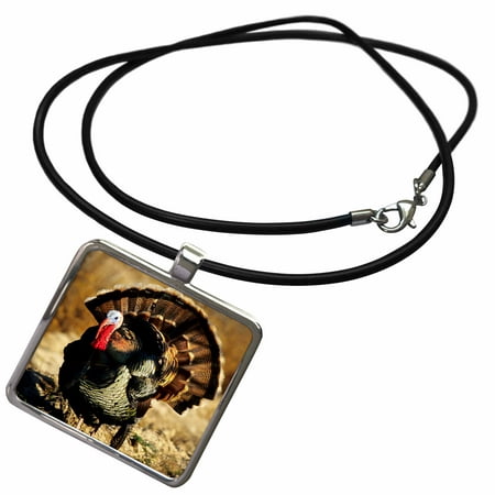Strutting Gobblers - 3dRose Rio Grande Wild Turkey gobbler strutting, Starr County, Texas - Necklace with Pendant (ncl_251472_1)